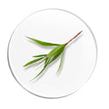 Ingredient image